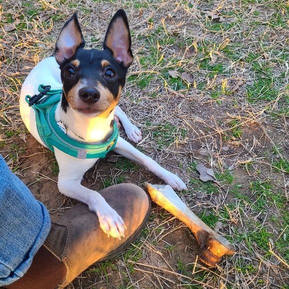 Meet your Posher, Tiff - Picture 6 of 16